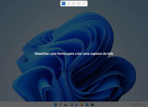 como tirar print windows 11