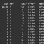 Comandos Linux que todo usuário deve conhecer