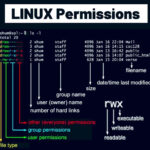 As permissões do Linux explicadas